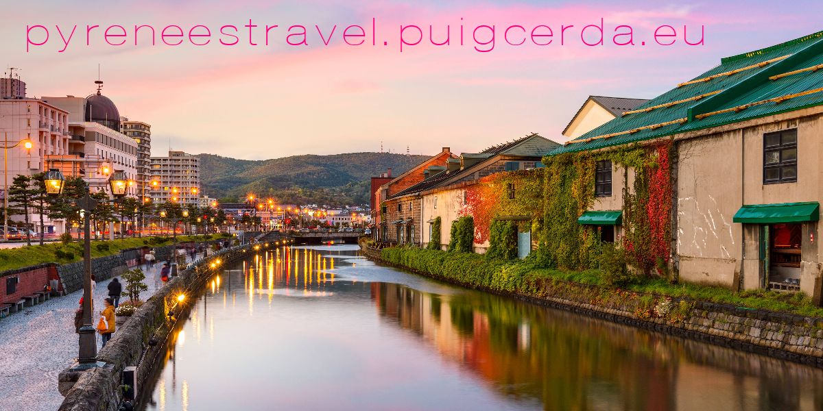 pyreneestravel.puigcerda.eu